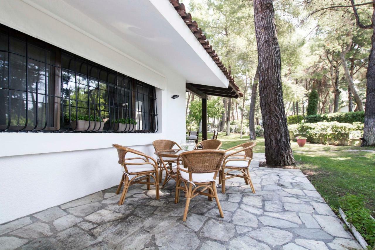 Villa Irini In Sani Sani  Exterior foto
