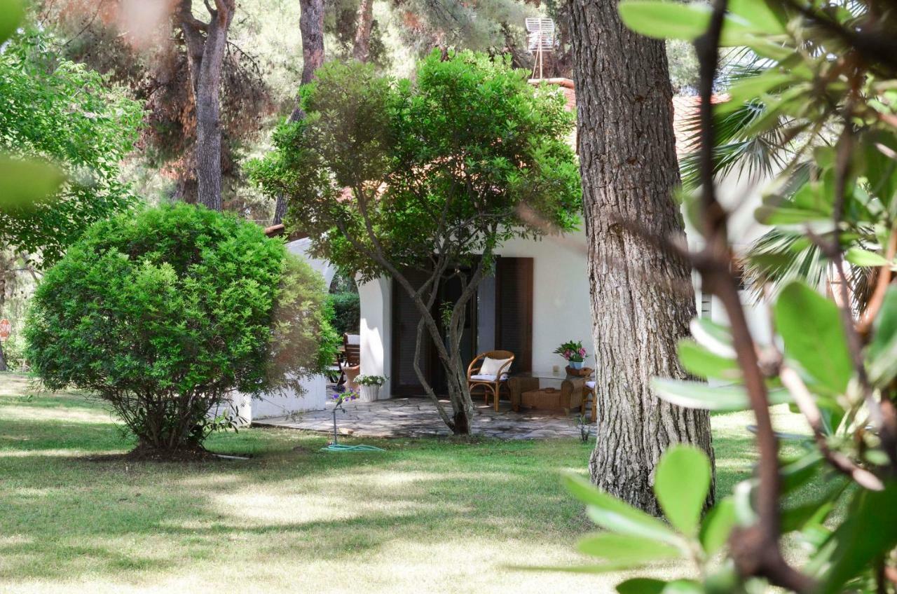 Villa Irini In Sani Sani  Exterior foto